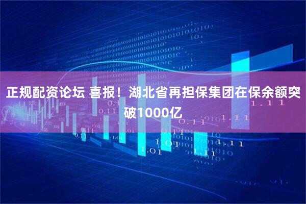 正规配资论坛 喜报！湖北省再担保集团在保余额突破1000亿