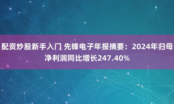配资炒股新手入门 先锋电子年报摘要：2024年归母净利润同比增长247.40%