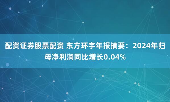 配资证券股票配资 东方环宇年报摘要：2024年归母净利润同比增长0.04%