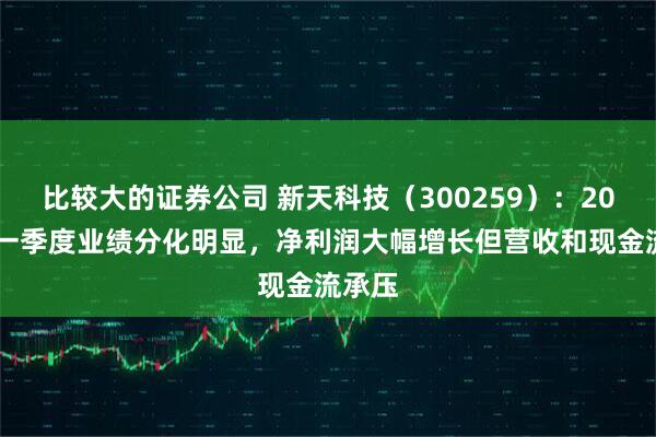 比较大的证券公司 新天科技（300259）：2025年一季度业绩分化明显，净利润大幅增长但营收和现金流承压