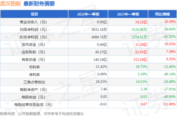 股票入门网 武汉控股(600168)2025年一季报简析