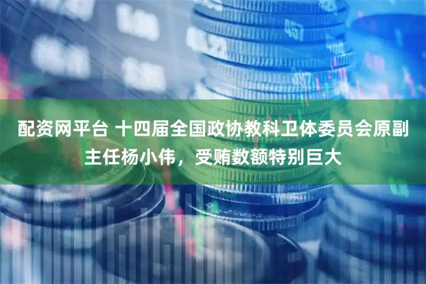 配资网平台 十四届全国政协教科卫体委员会原副主任杨小伟，受贿数额特别巨大