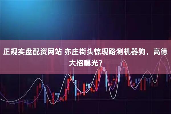 正规实盘配资网站 亦庄街头惊现路测机器狗，高德大招曝光？